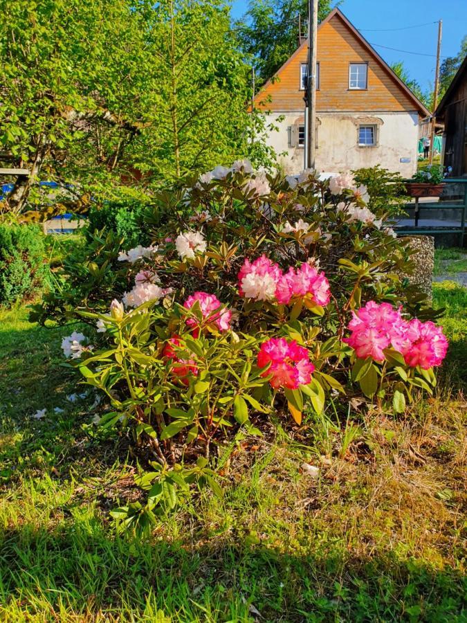 Locations Dupertuis Alsace Lejlighed Le Hohwald Eksteriør billede