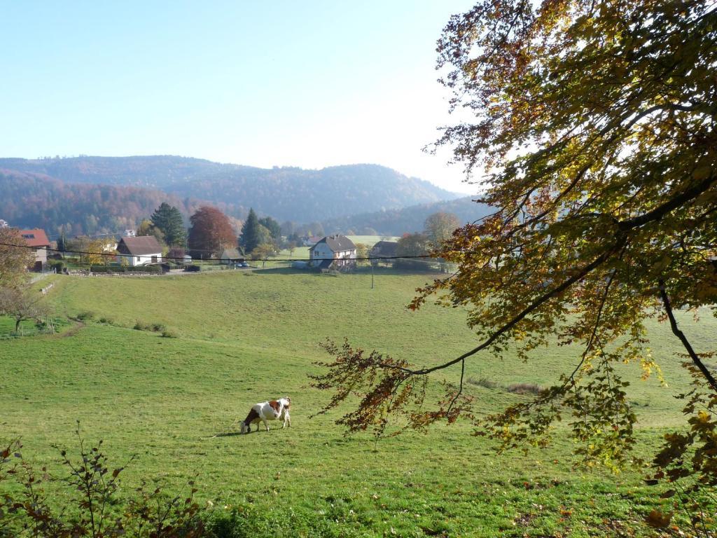 Locations Dupertuis Alsace Lejlighed Le Hohwald Værelse billede