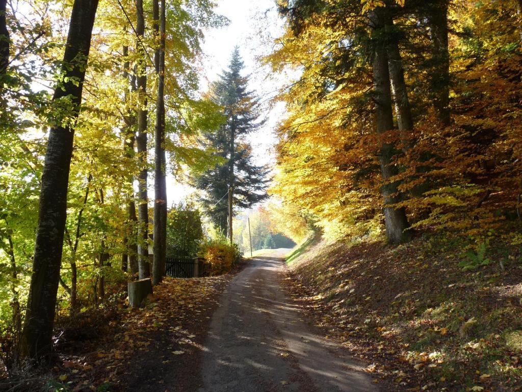 Locations Dupertuis Alsace Lejlighed Le Hohwald Eksteriør billede