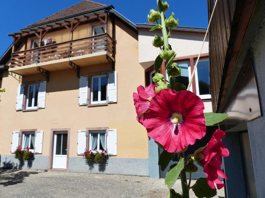 Locations Dupertuis Alsace Lejlighed Le Hohwald Eksteriør billede